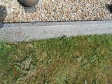 image of grave number 583584